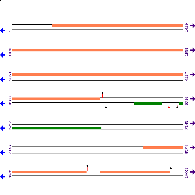 Genome View
