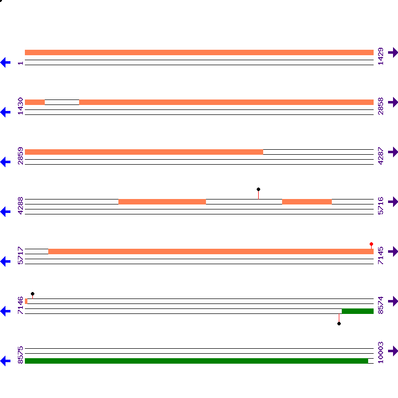 Genome View