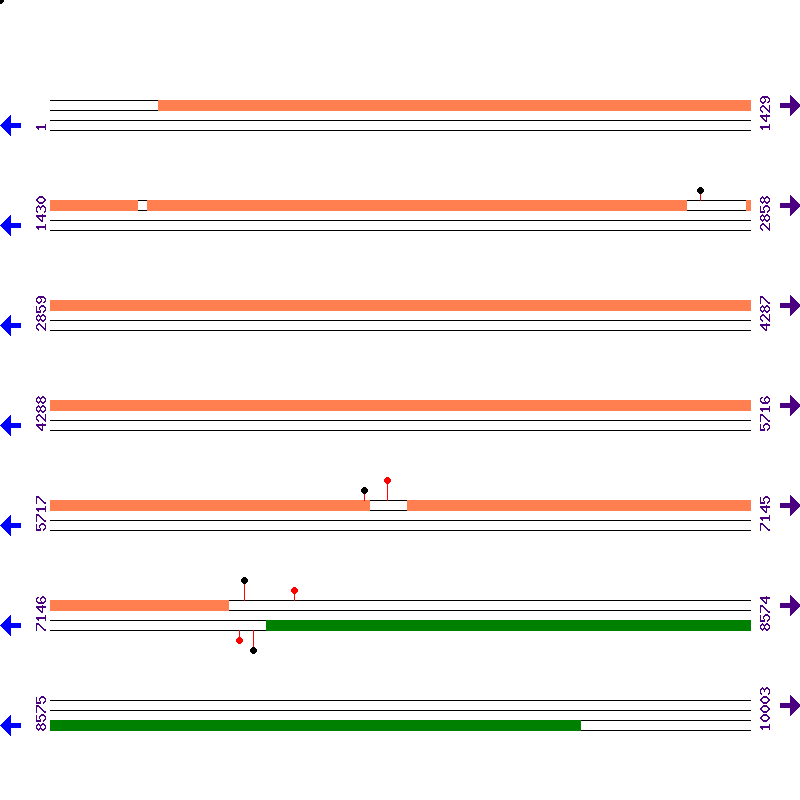 Genome View