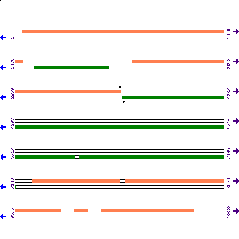Genome View