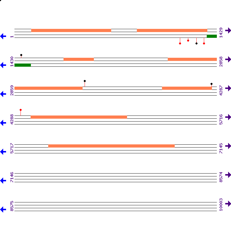 Genome View