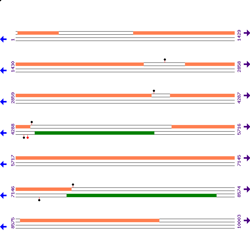 Genome View