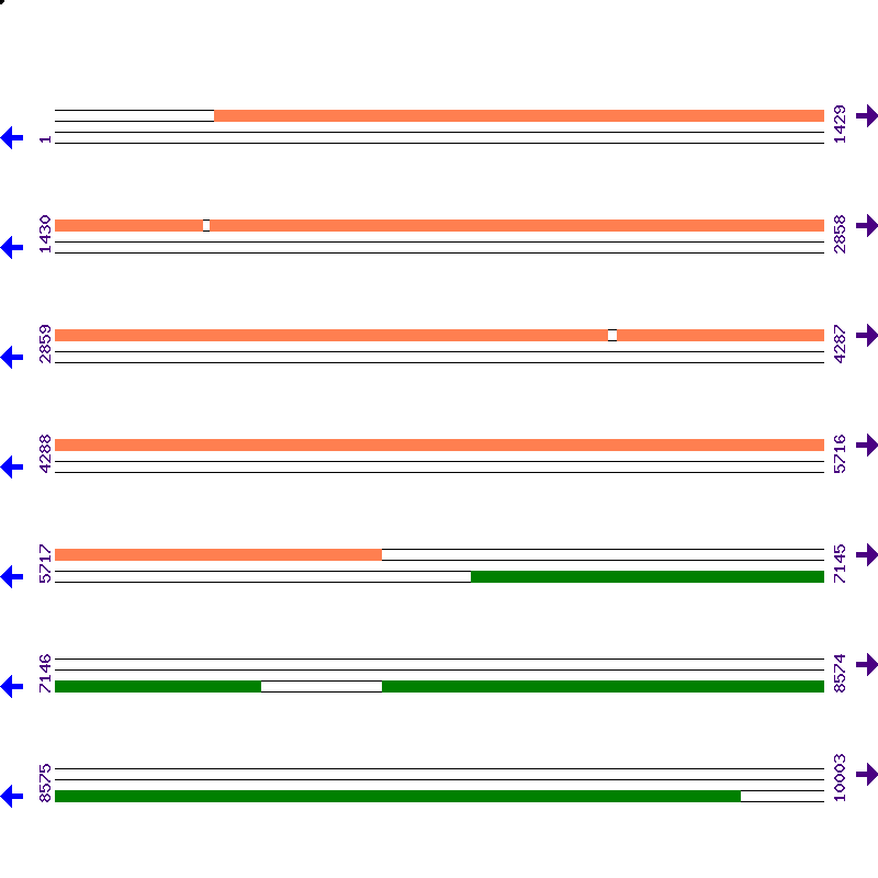 Genome View