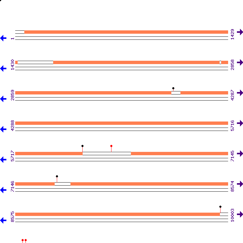 Genome View