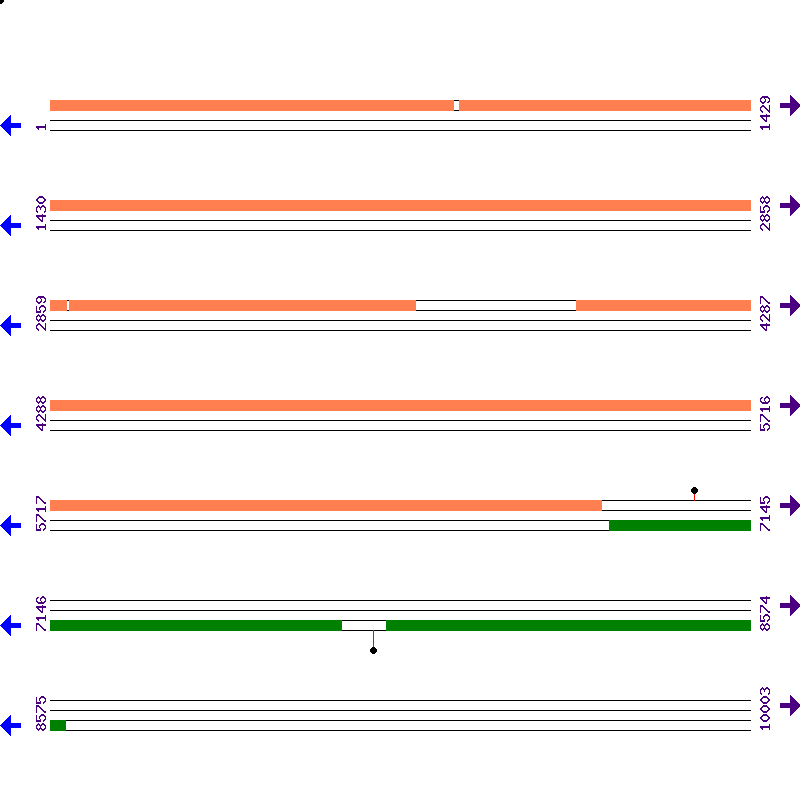 Genome View