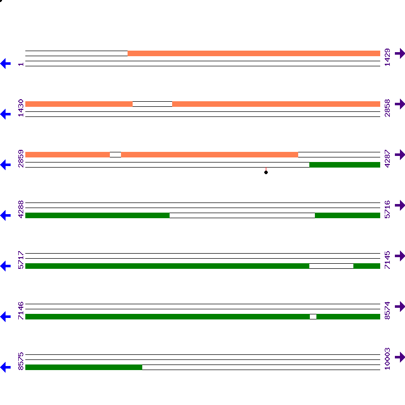 Genome View
