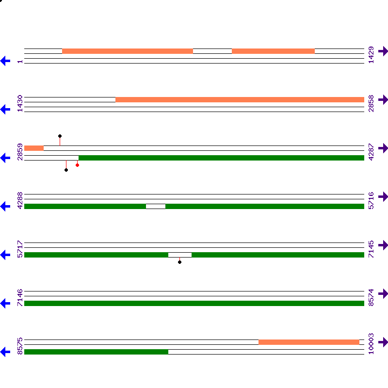 Genome View