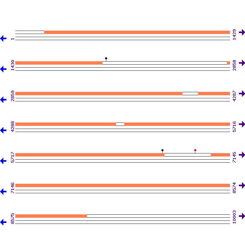 Genome View