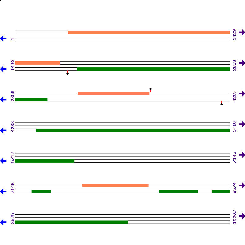 Genome View