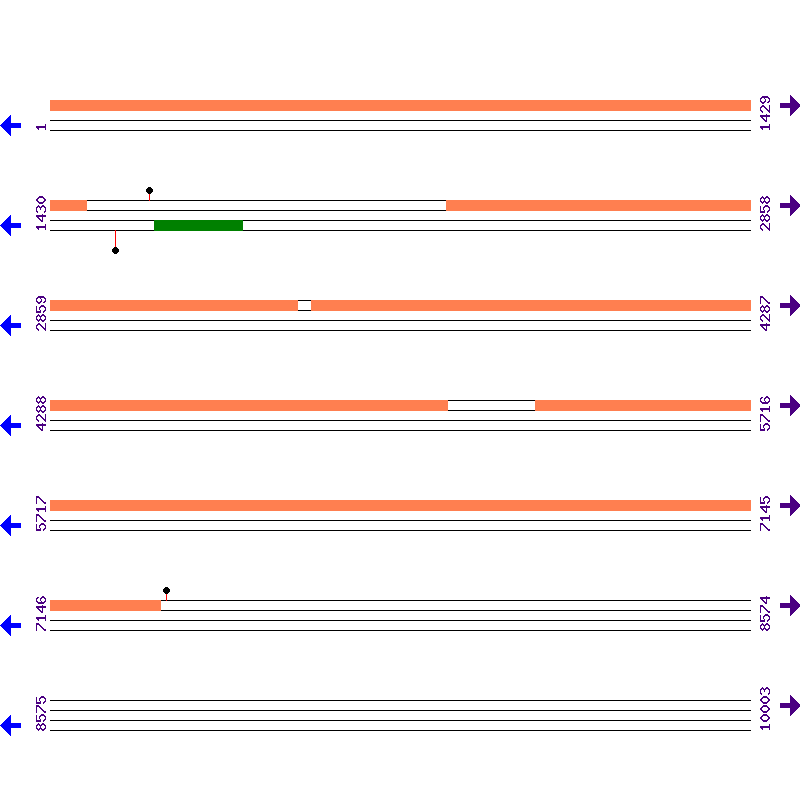 Genome View