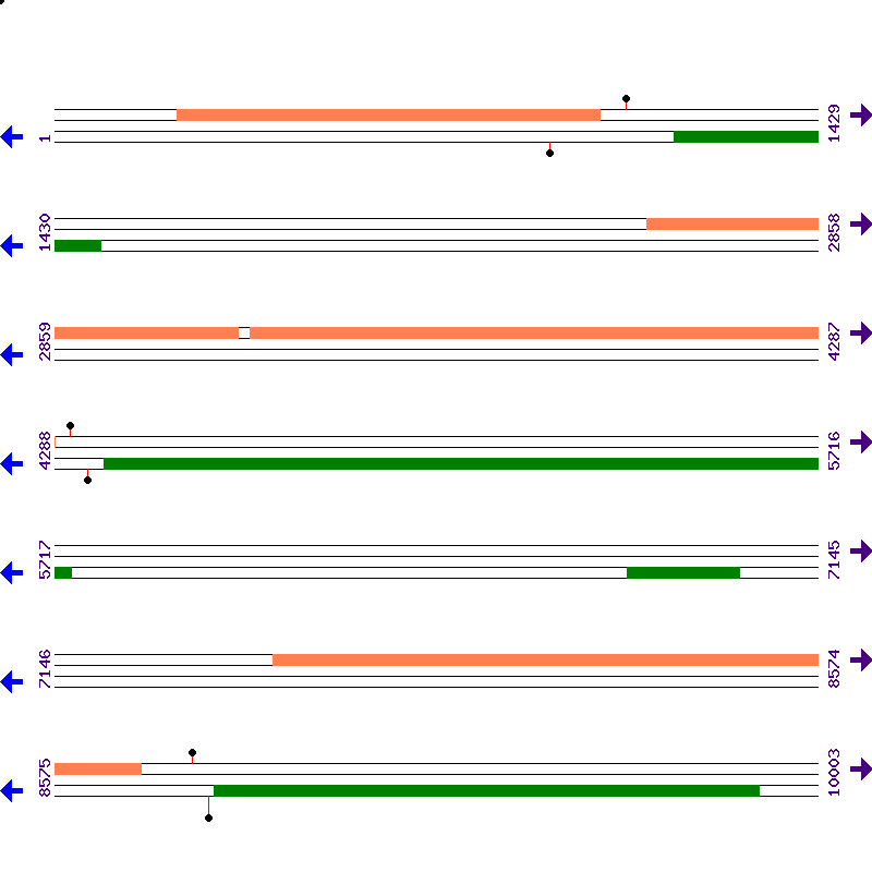 Genome View