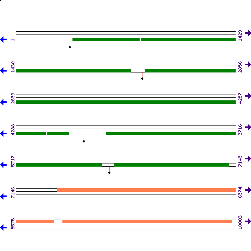 Genome View