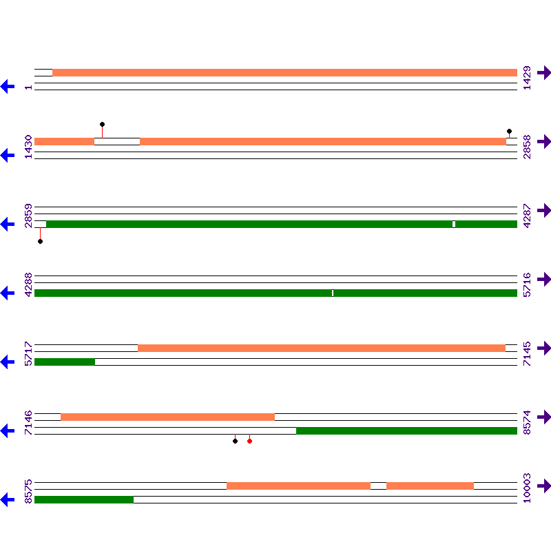 Genome View