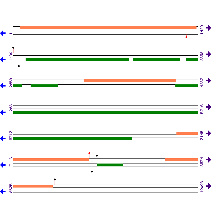 Genome View
