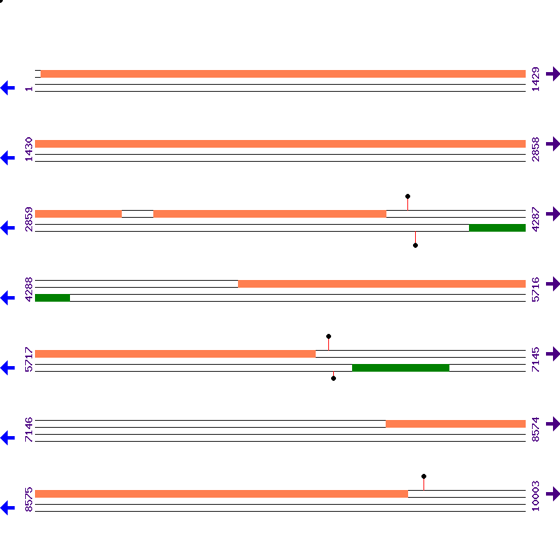Genome View
