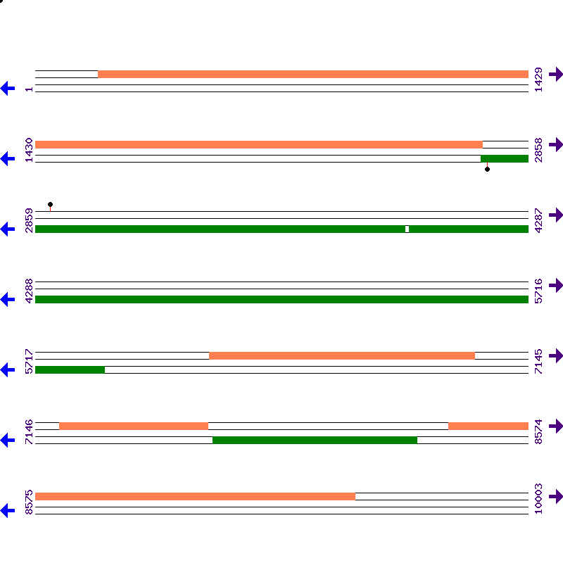 Genome View