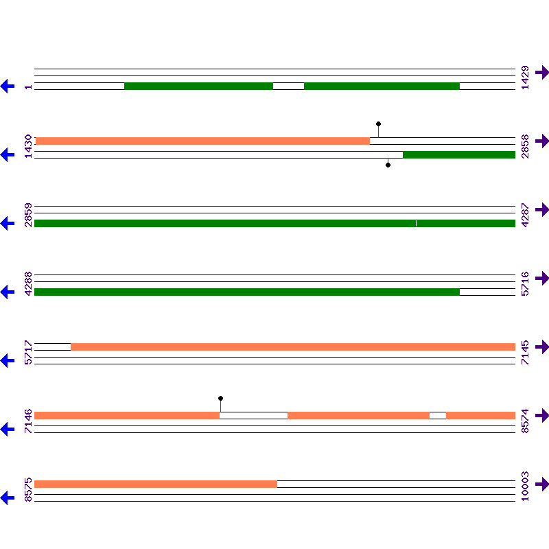 Genome View