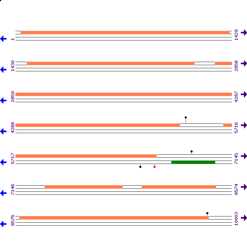 Genome View