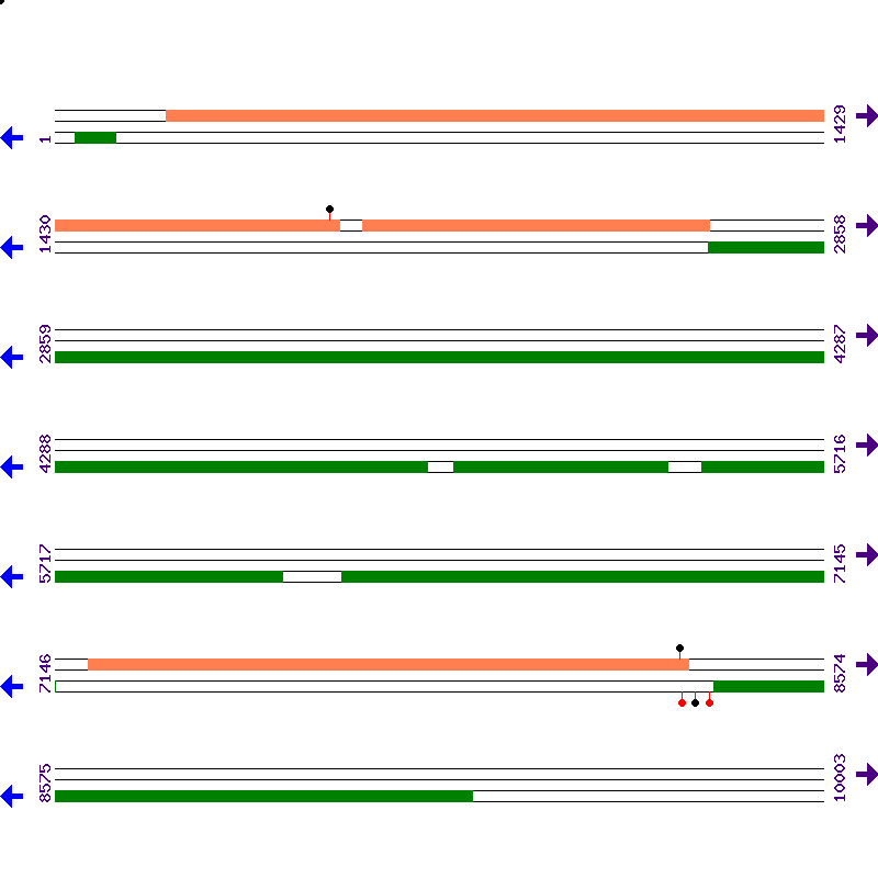 Genome View