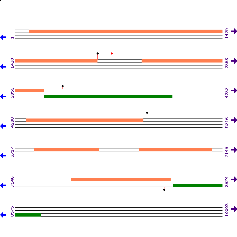 Genome View
