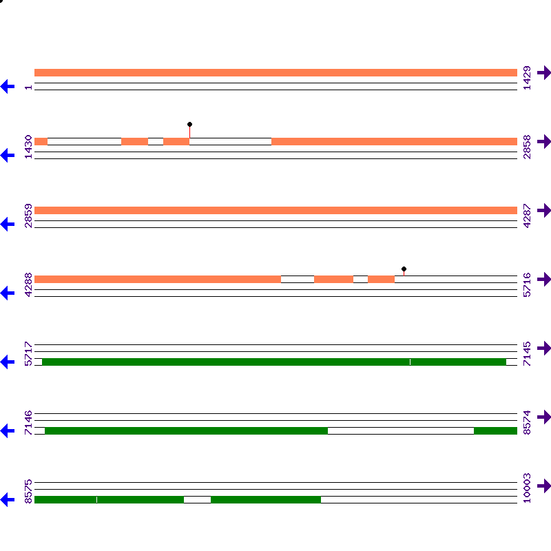 Genome View