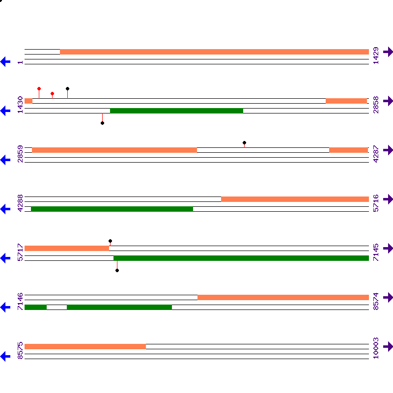 Genome View