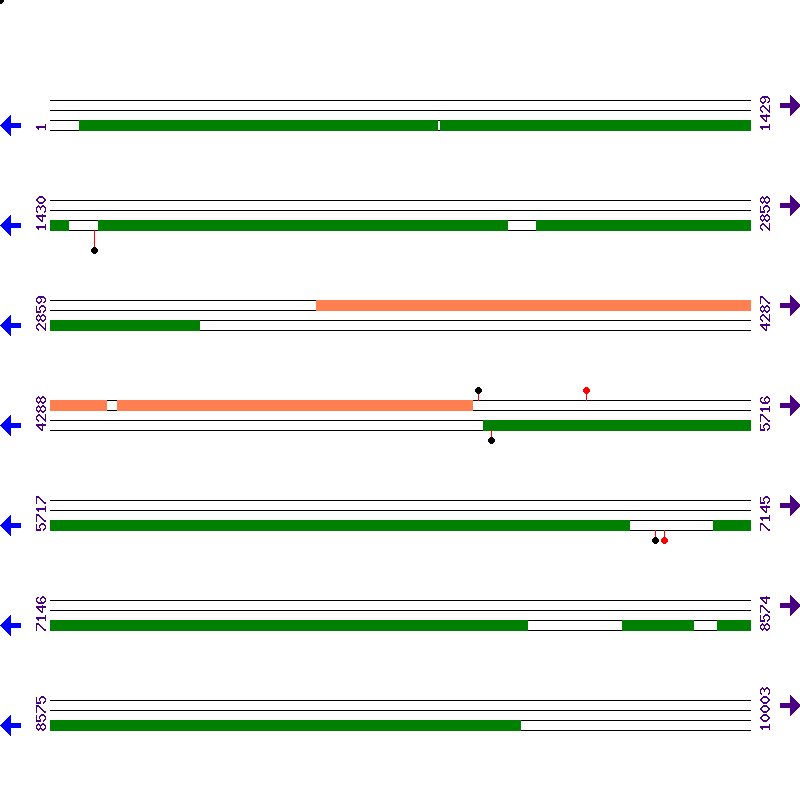 Genome View