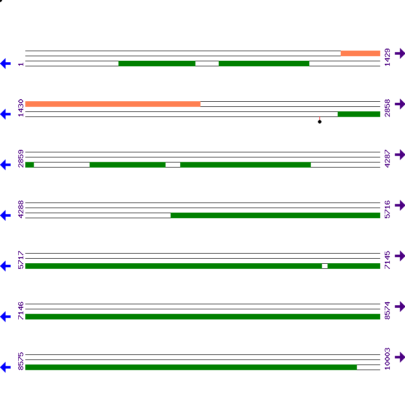 Genome View