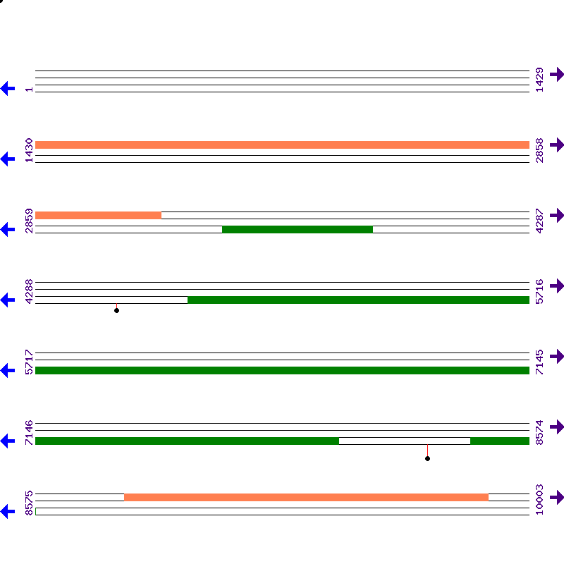 Genome View
