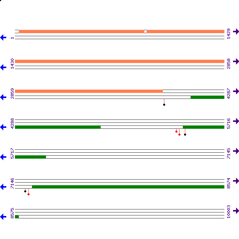 Genome View