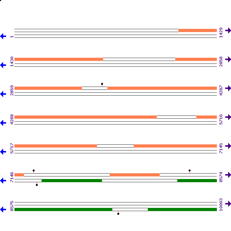 Genome View