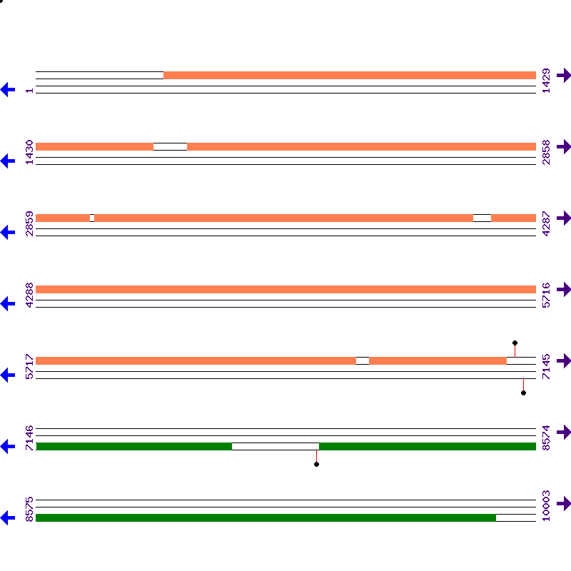 Genome View