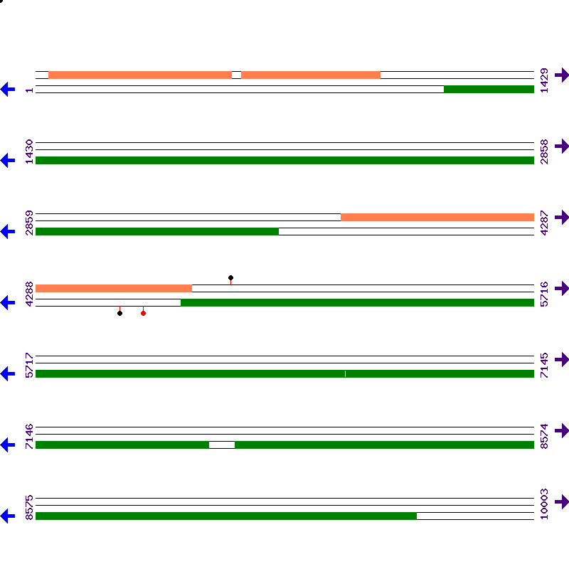 Genome View