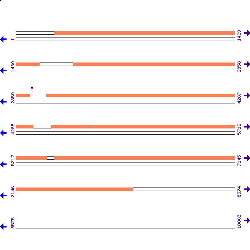 Genome View