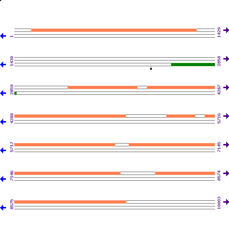 Genome View