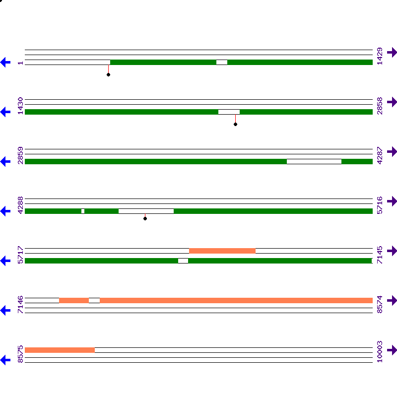 Genome View