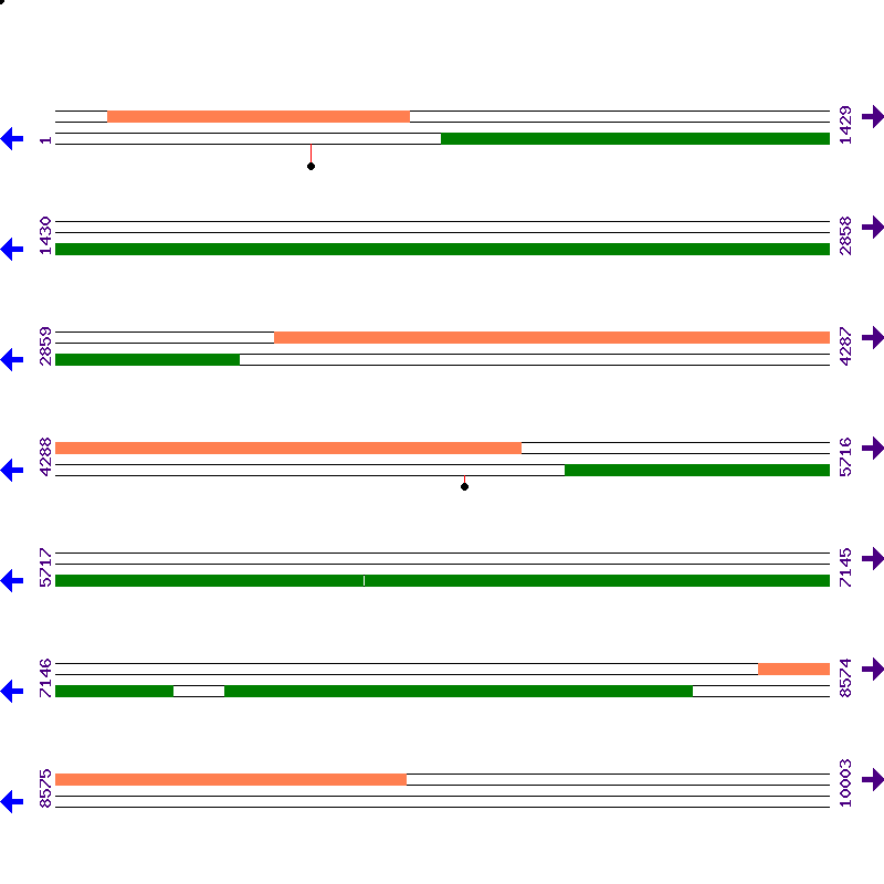 Genome View
