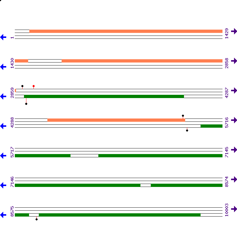 Genome View