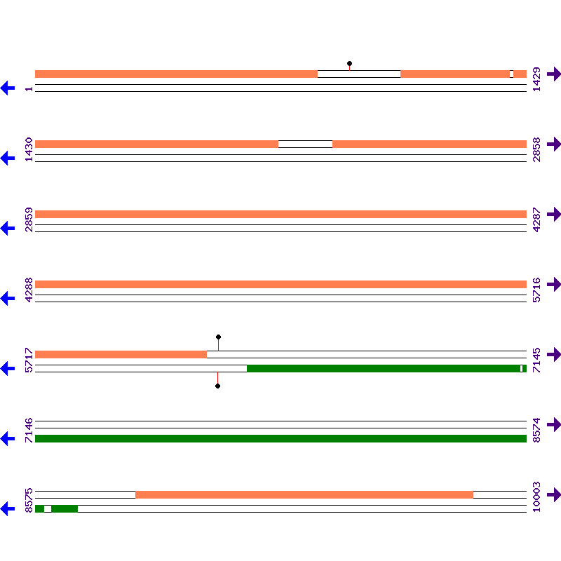 Genome View