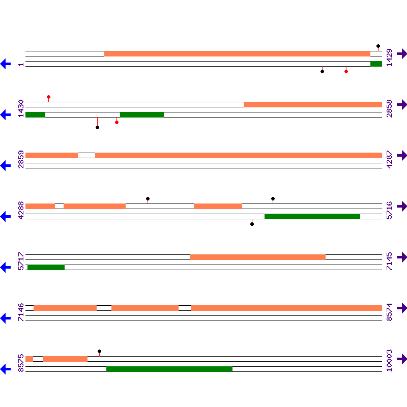 Genome View