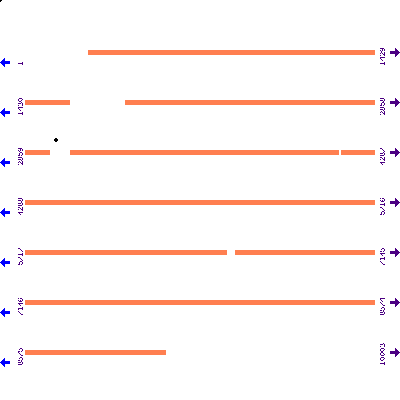 Genome View