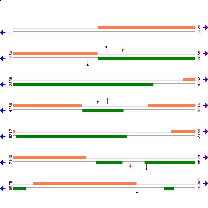 Genome View