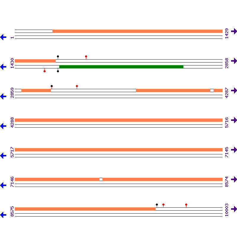 Genome View