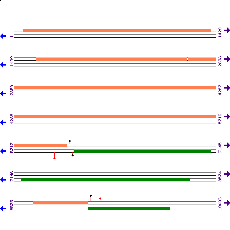 Genome View
