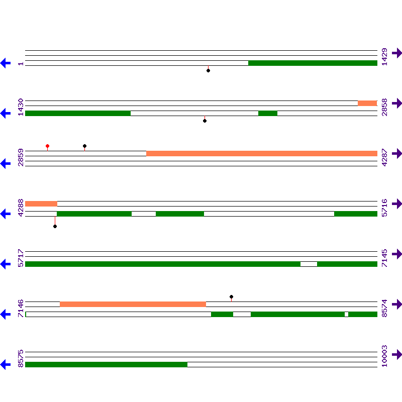 Genome View