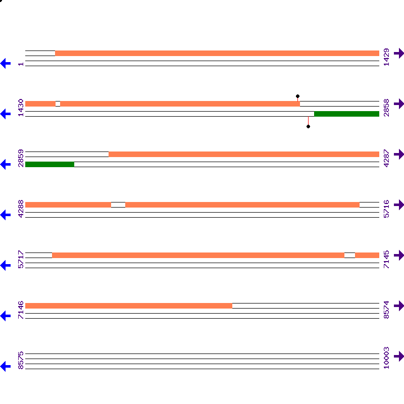 Genome View