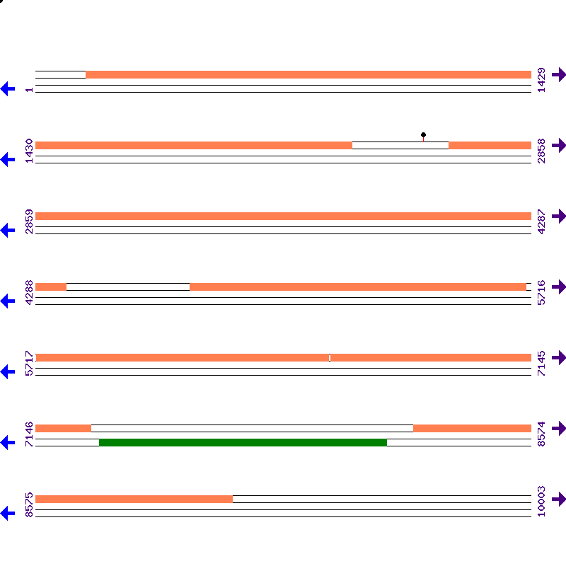 Genome View