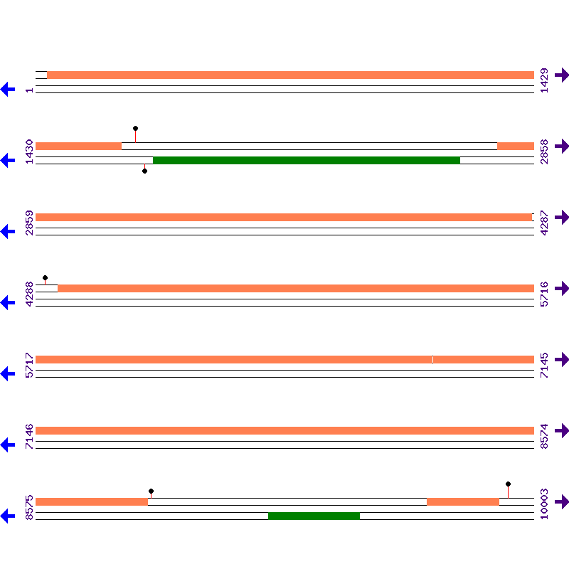 Genome View