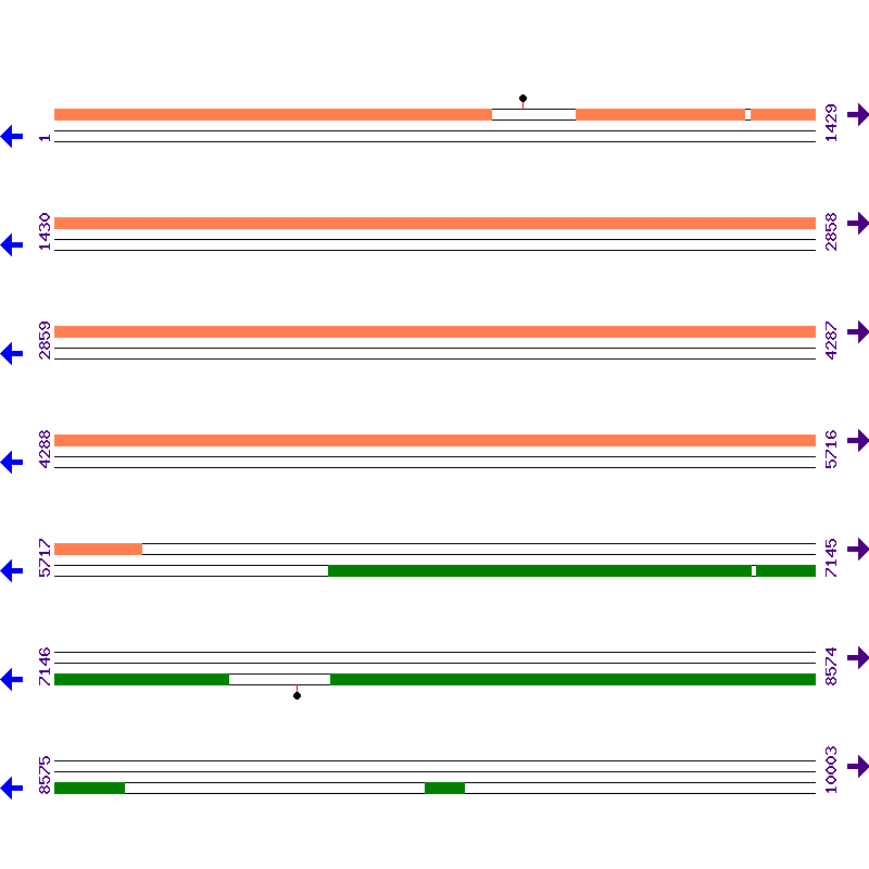 Genome View