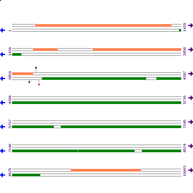 Genome View